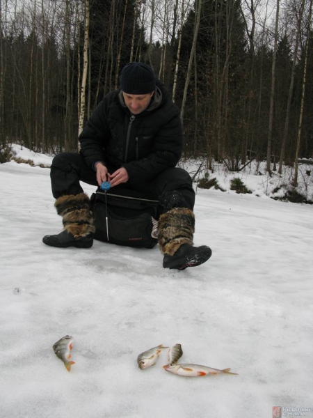 «Рыбачьте с нами» — Поиск рыбы весной подо льдом