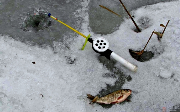 «Рыбачьте с нами» —  Об особенностях ловли карася со льда