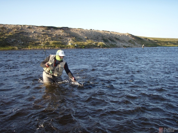 «Рыбачьте с нами» — Ловля гольца в Мурманской области