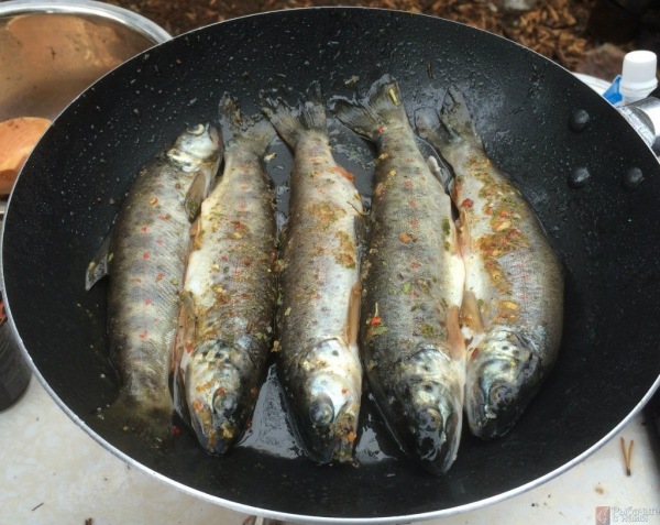 «Рыбачьте с нами» — Бюджетная рыбалка на Кольском полуострове